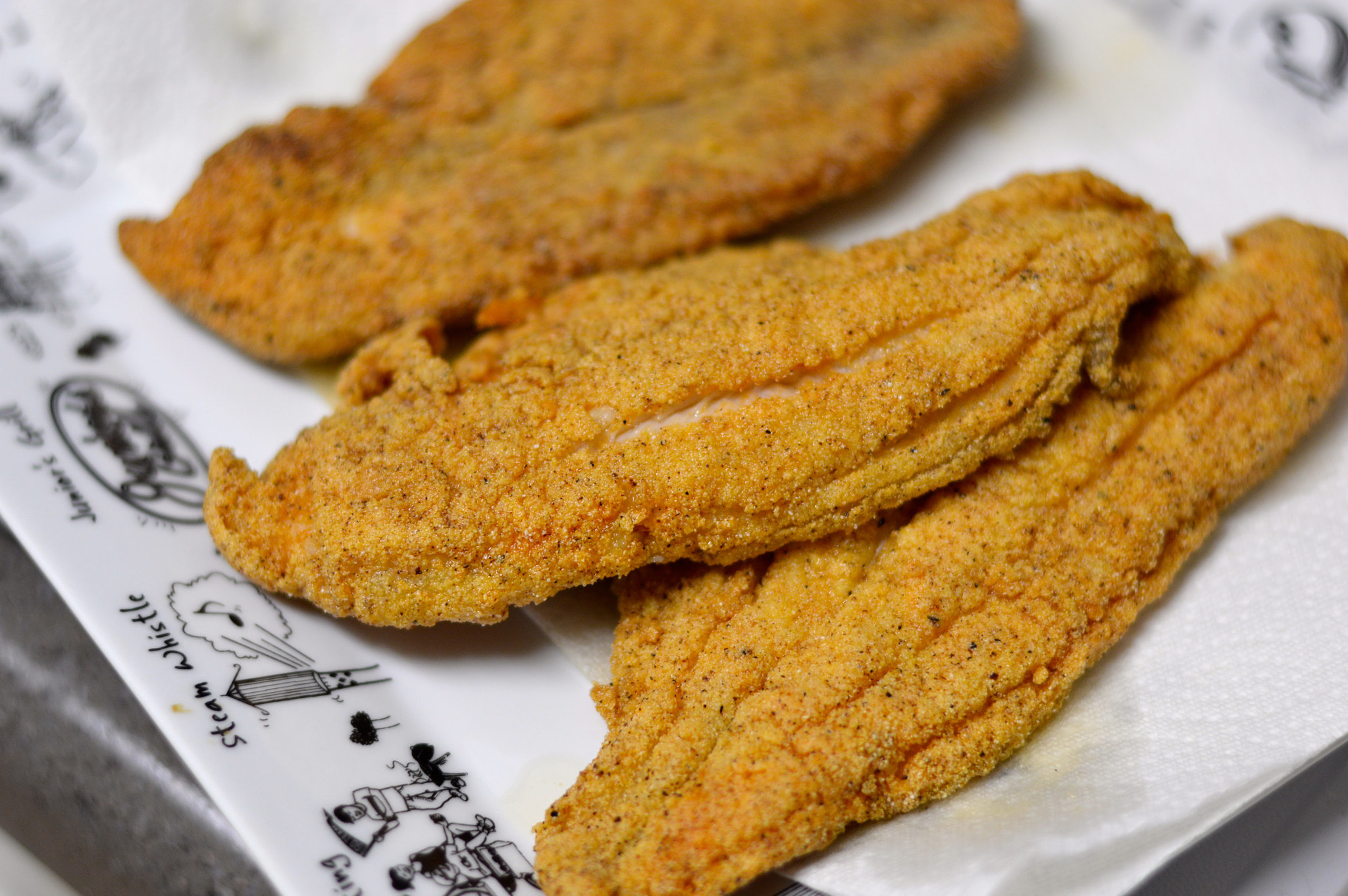 Nikon D3200 + Nikon AF-S Nikkor 50mm F1.8G sample photo. Fried catfish in bakersfield photography
