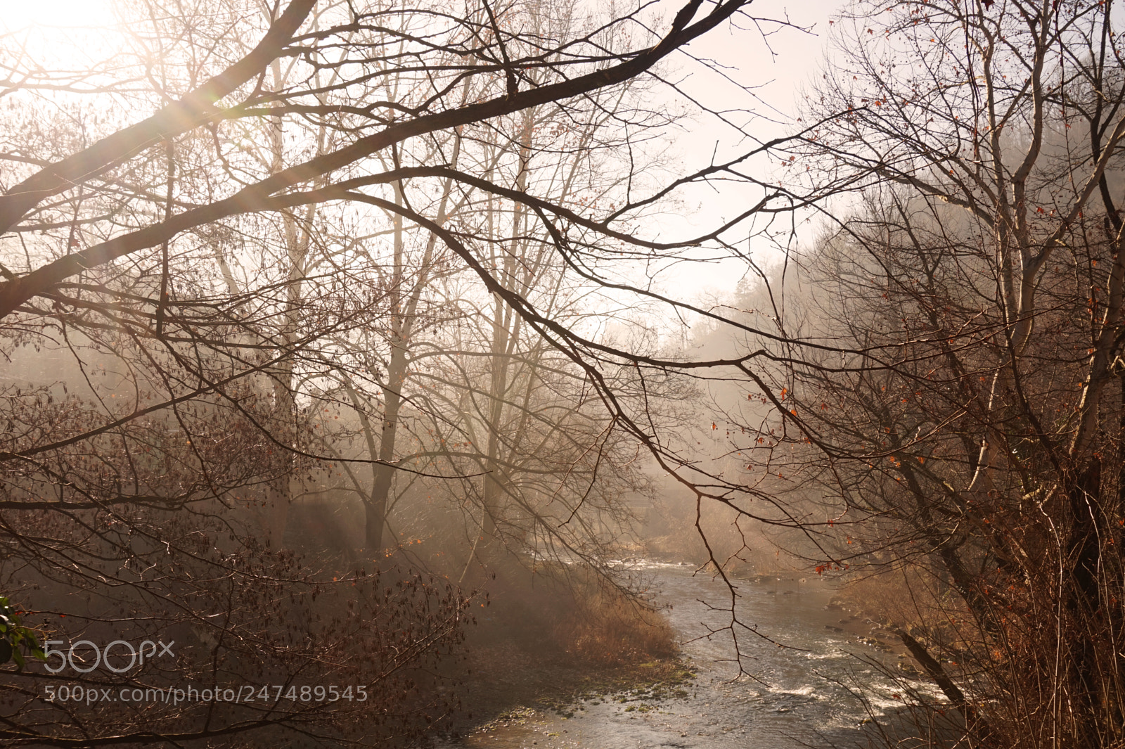 Sony Alpha a5000 (ILCE 5000) sample photo. Pure autumn morning photography