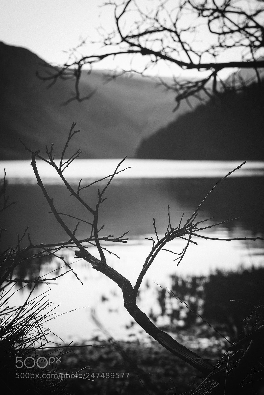 Canon EOS 60D sample photo. Shapes of lake photography