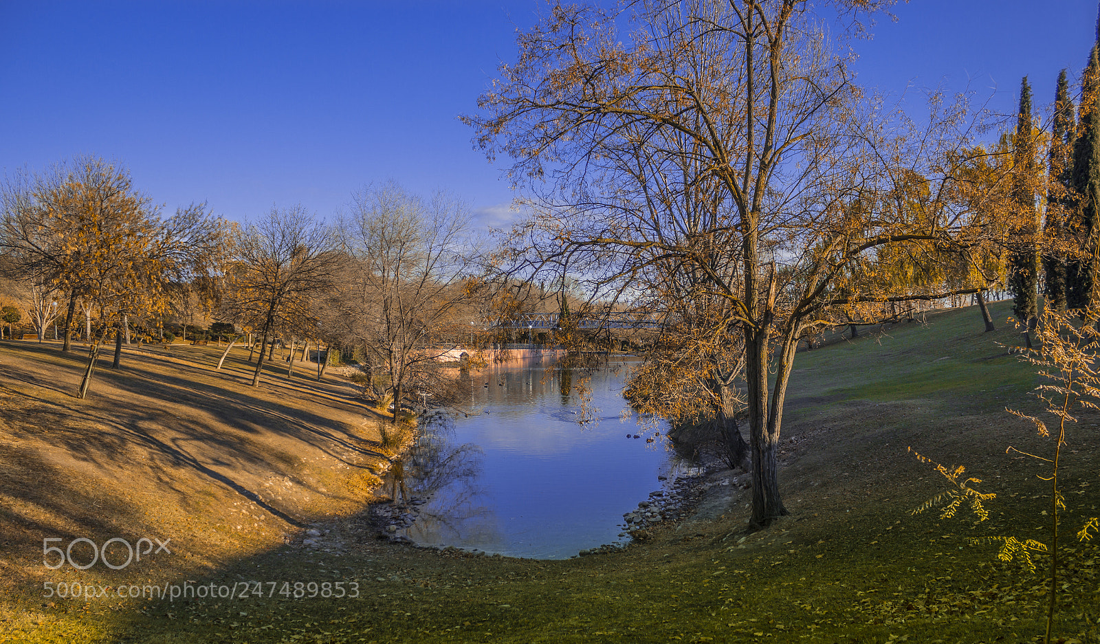Canon EOS 600D (Rebel EOS T3i / EOS Kiss X5) sample photo. Lake photography