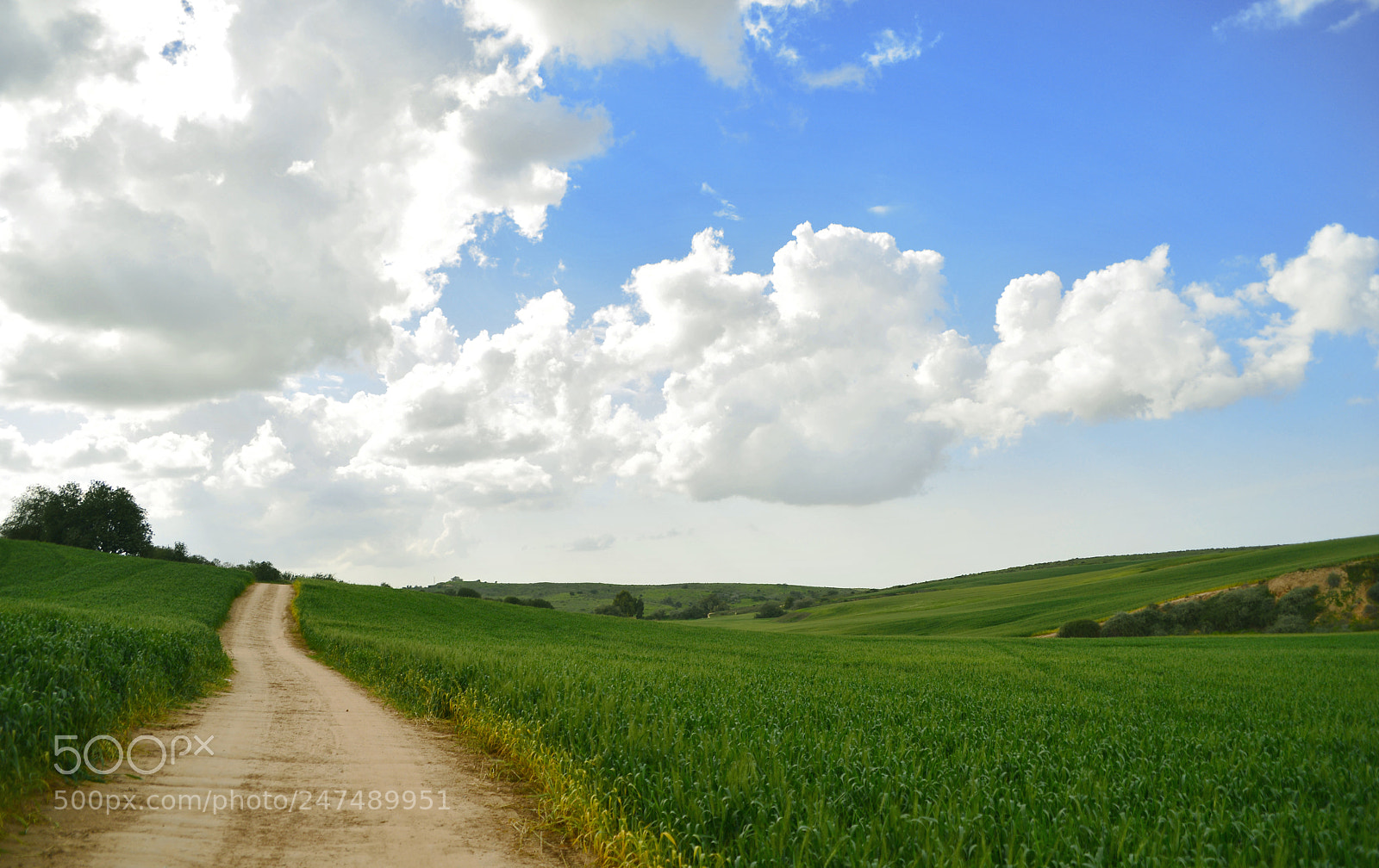Nikon D610 sample photo. Дорога в облака... photography