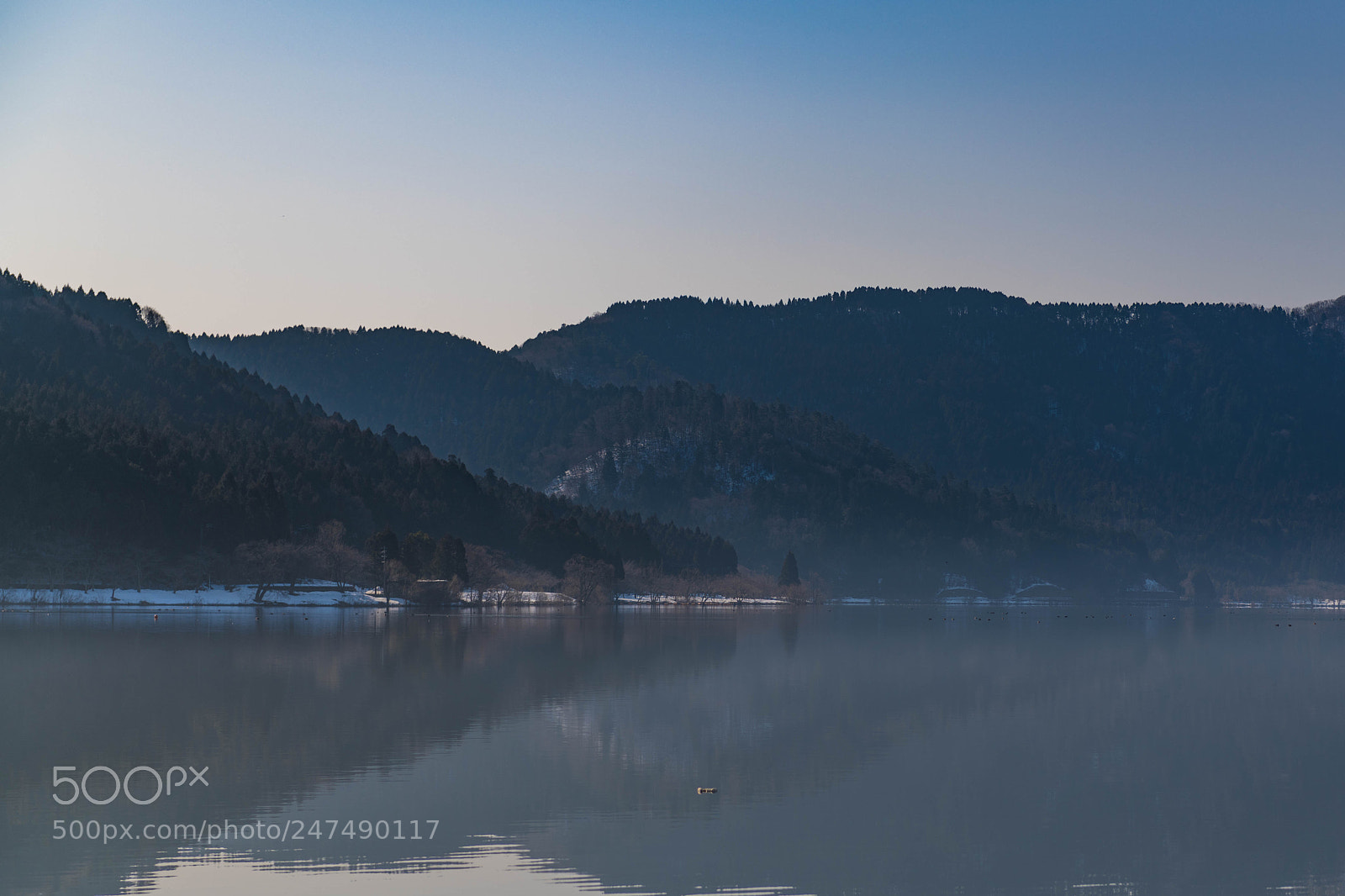 Nikon D850 sample photo. The lake was fogged photography