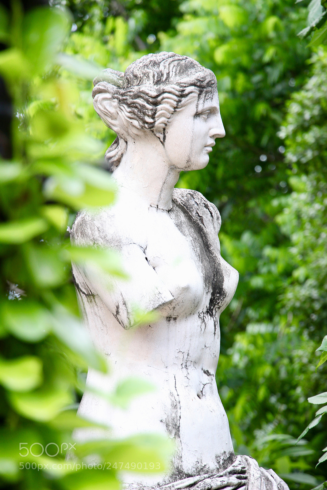 Canon EOS 600D (Rebel EOS T3i / EOS Kiss X5) sample photo. Passeio p blico photography