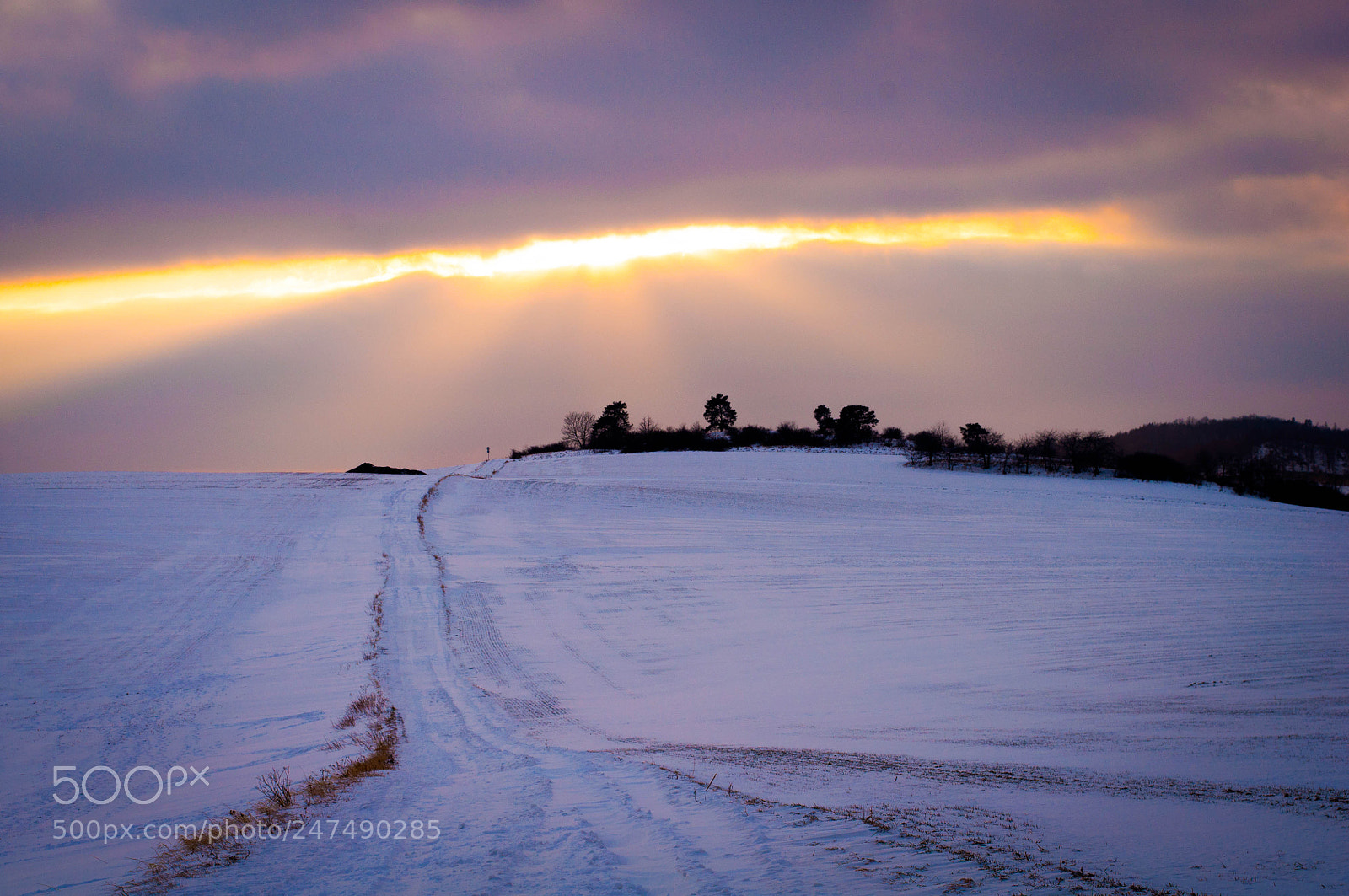 Nikon D5000 sample photo. Highway to sky photography