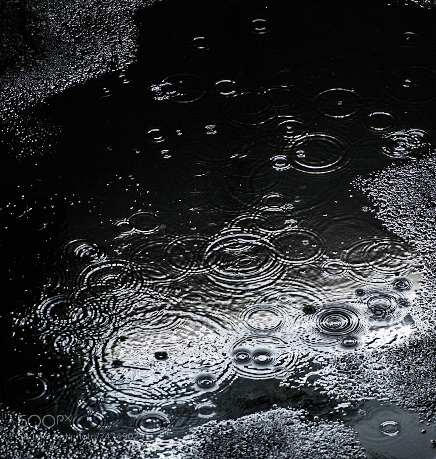 Nikon D850 sample photo. Drops photography