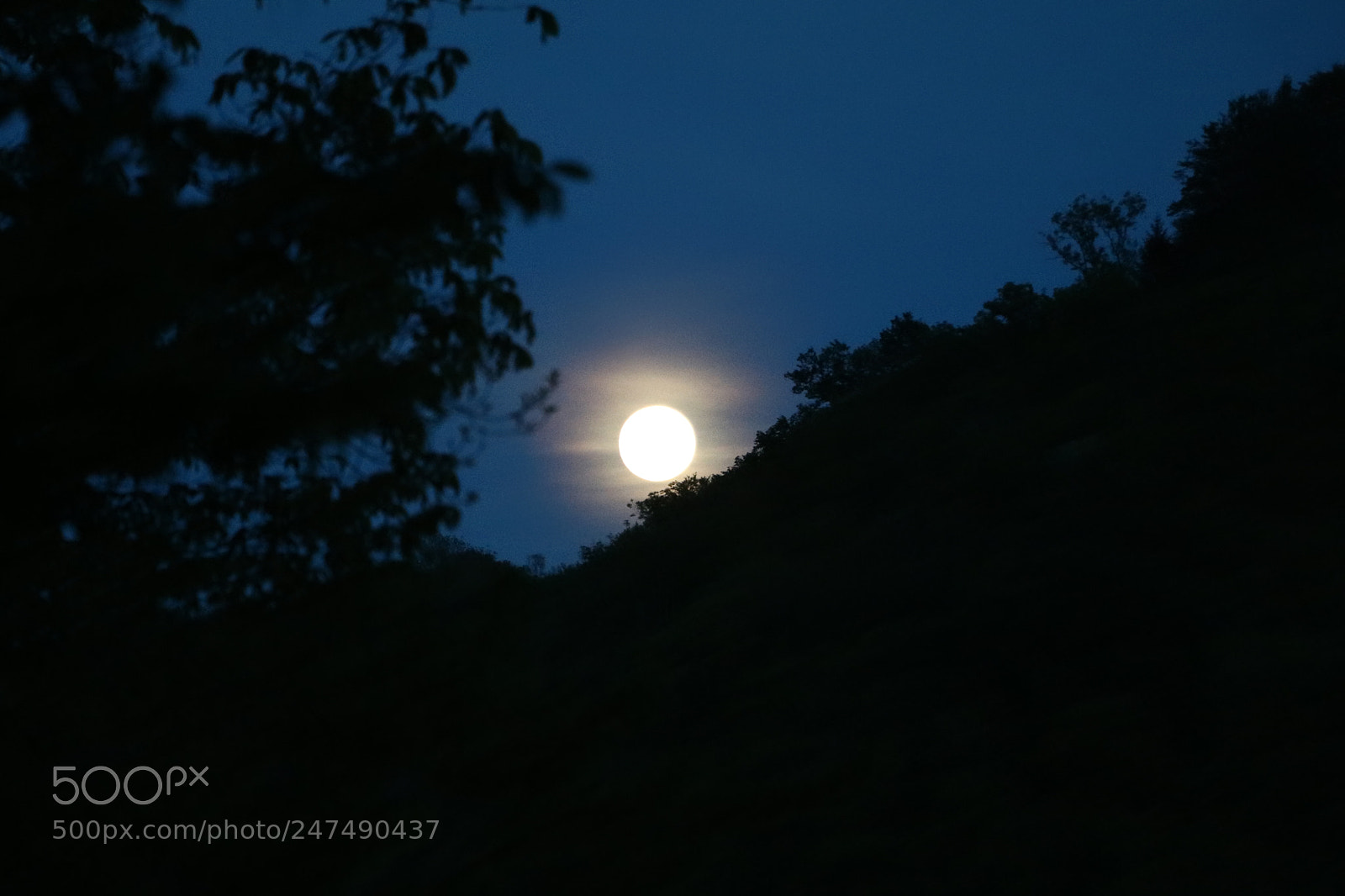 Canon EOS 80D sample photo. The darkness, my life. photography