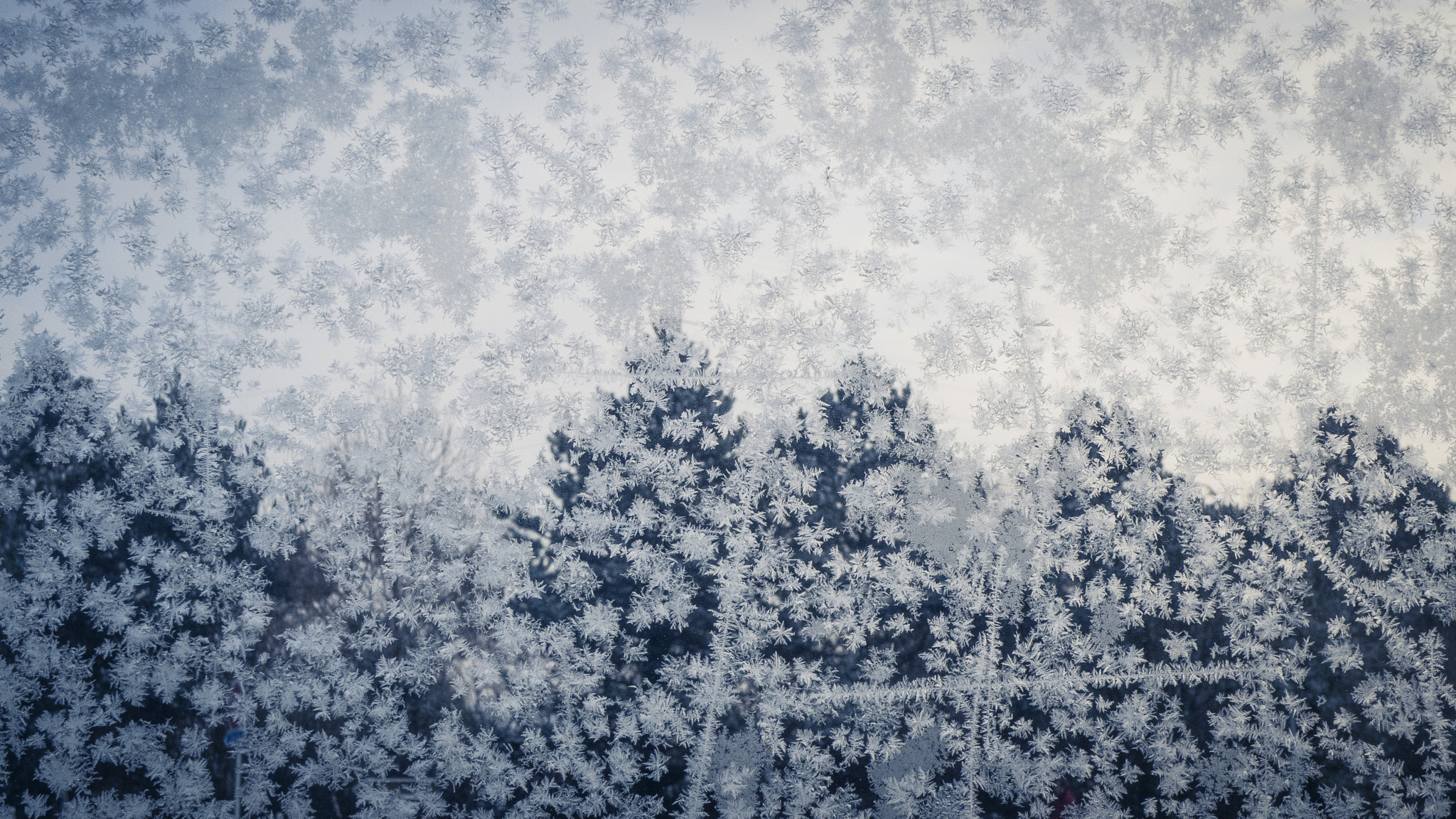 Panasonic Lumix DMC-LX3 sample photo. Totally frozen glass photography