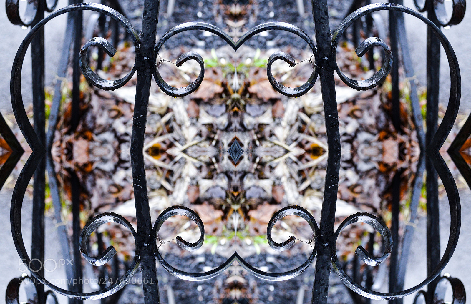 Nikon D3100 sample photo. Kaleidoscopic image photography