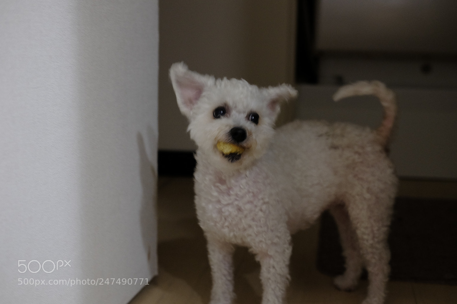 Fujifilm X-E2 sample photo. Snack time ! photography