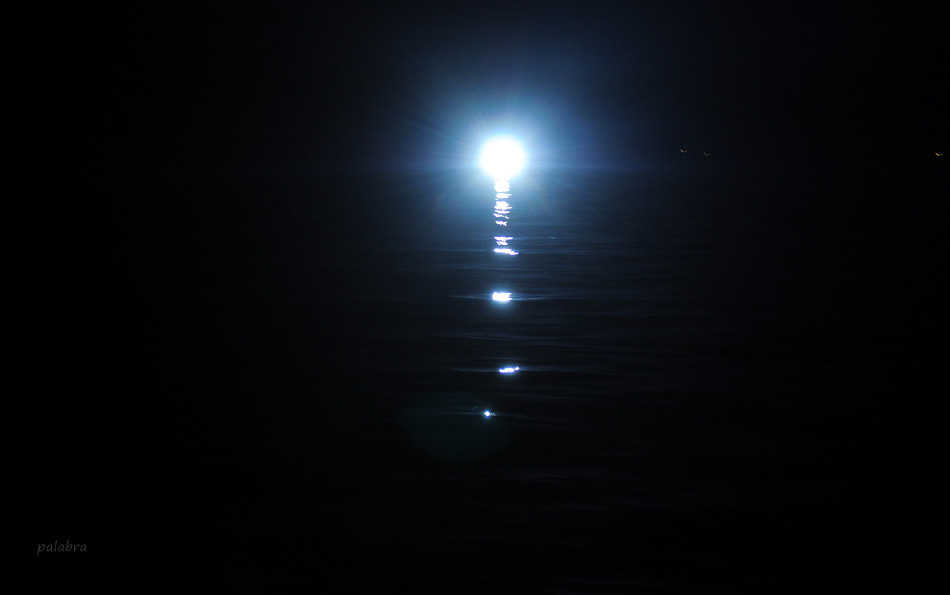 Nikon D5000 sample photo. ... photography