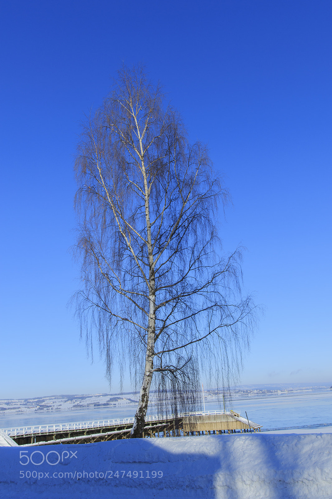 Canon EOS 7D Mark II sample photo. A photography