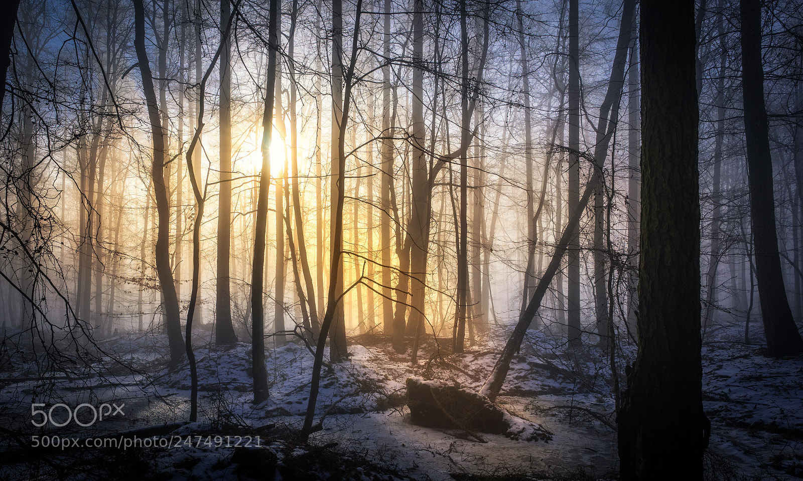 Sony a7 sample photo. Wilderness beauty. photography