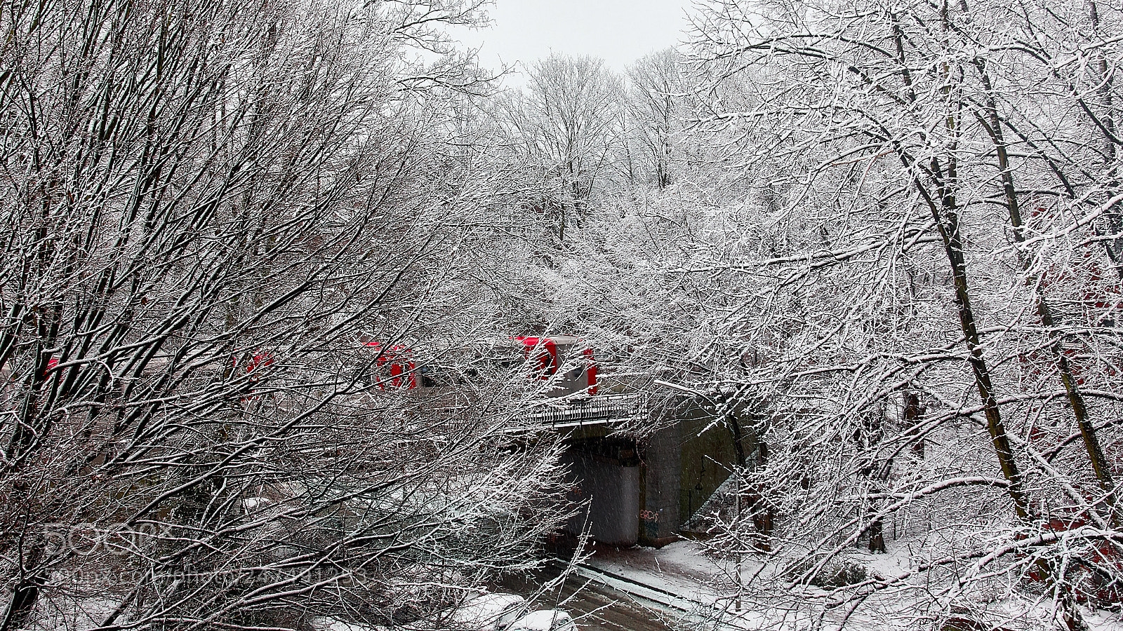 Sony DSC-RX100M5 sample photo. Train in snow photography