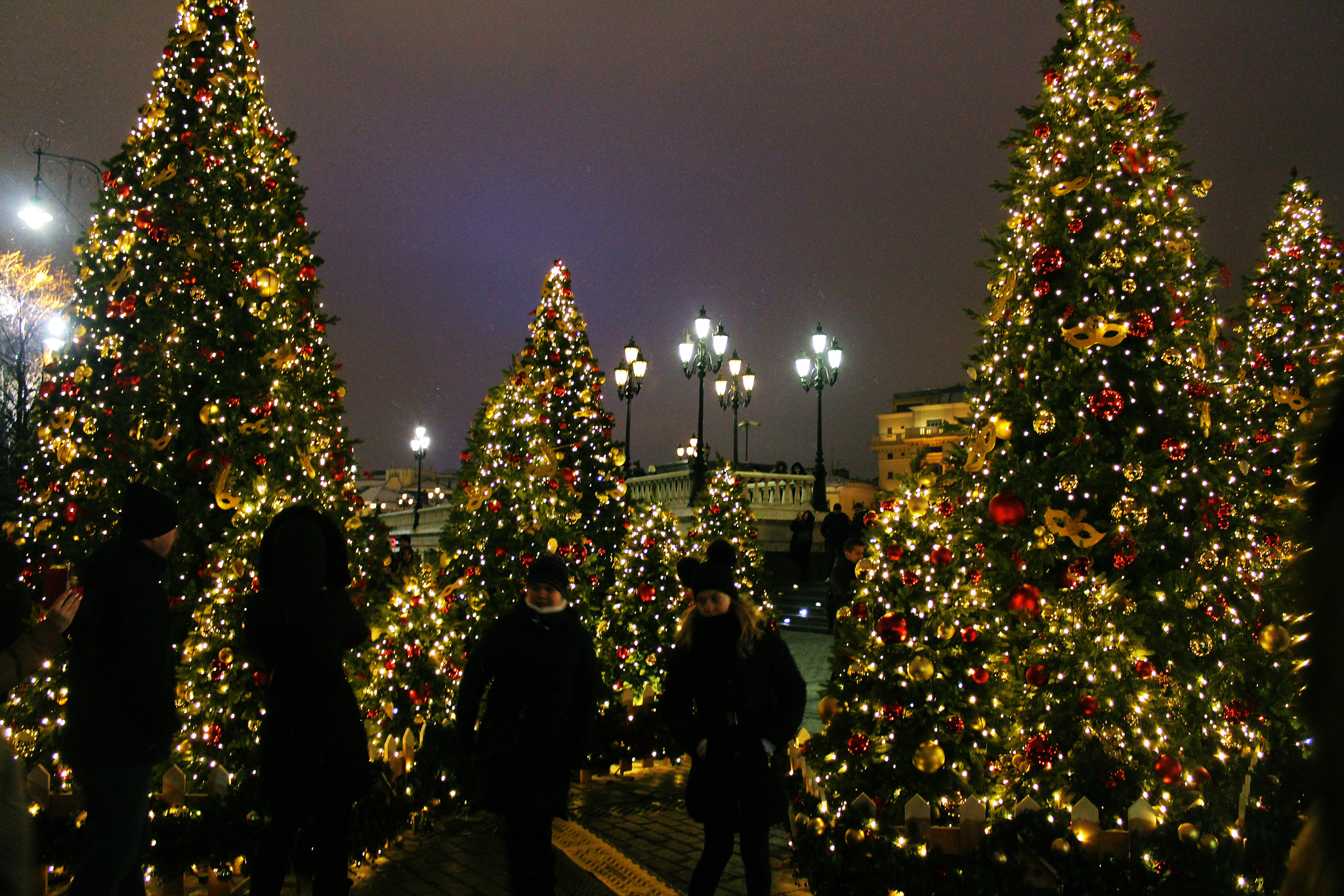 Canon EOS 650D (EOS Rebel T4i / EOS Kiss X6i) sample photo. Новогодняя сказка photography