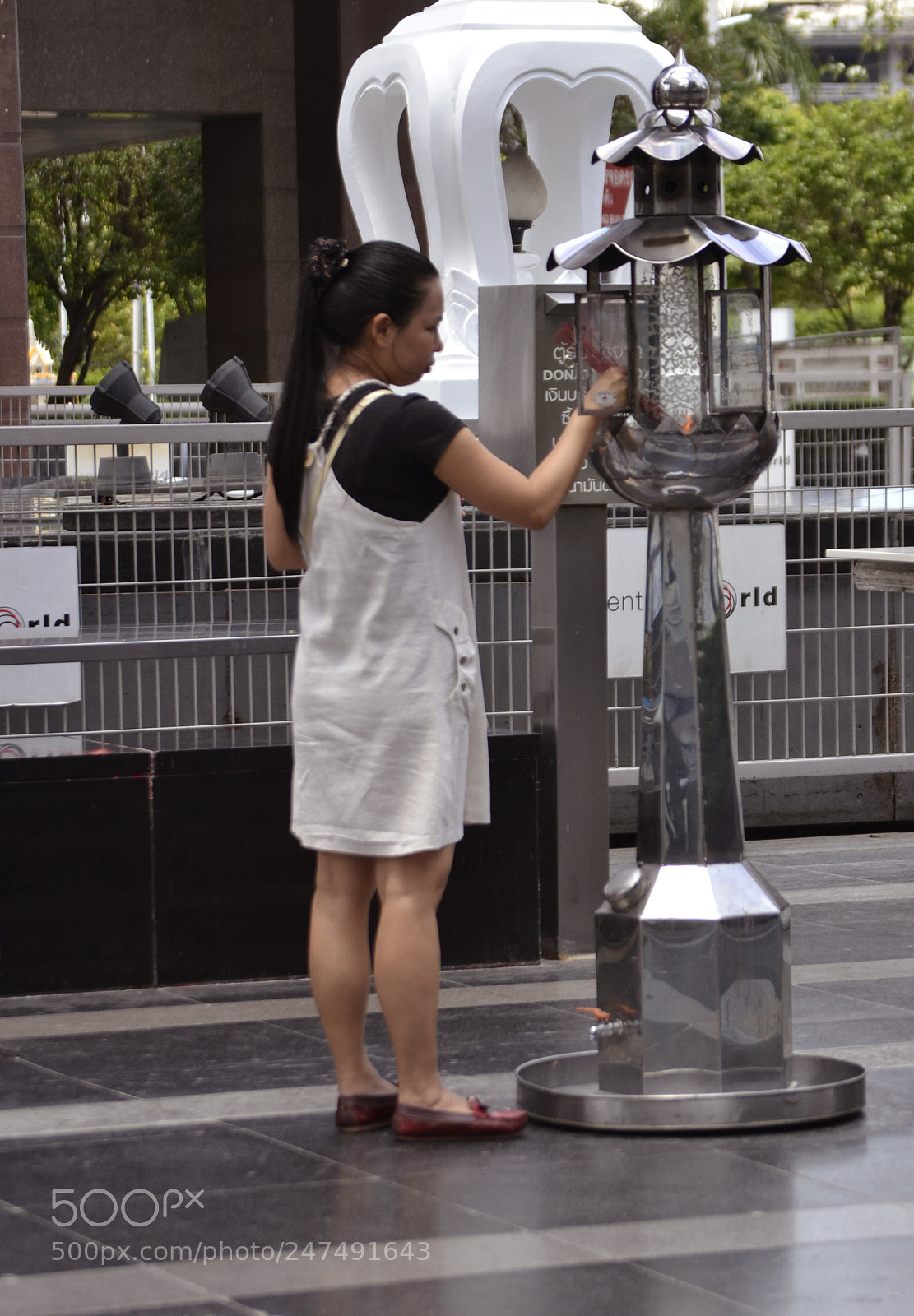 Nikon D3100 sample photo. 595.. photography