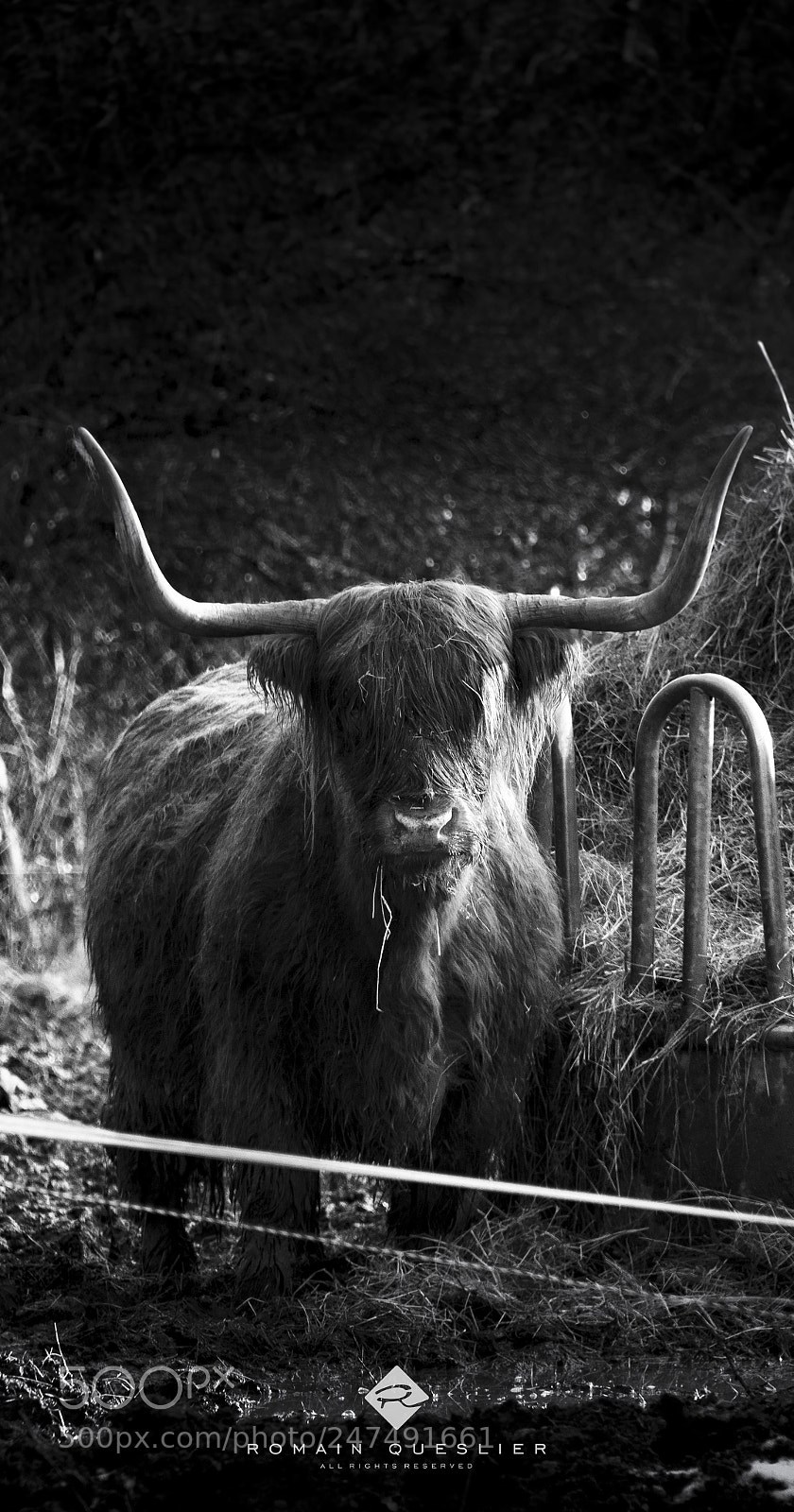 Canon EOS 60D sample photo. Highland photography