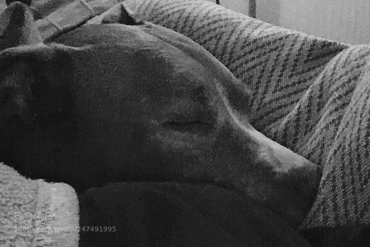Apple iPhone SE sample photo. Sleeping girlfriend photography