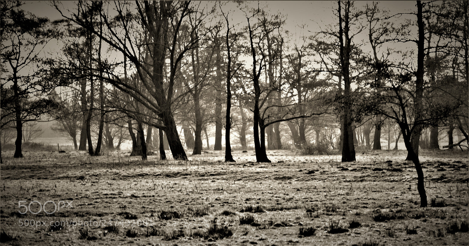 Nikon D5100 sample photo. Perspective photography