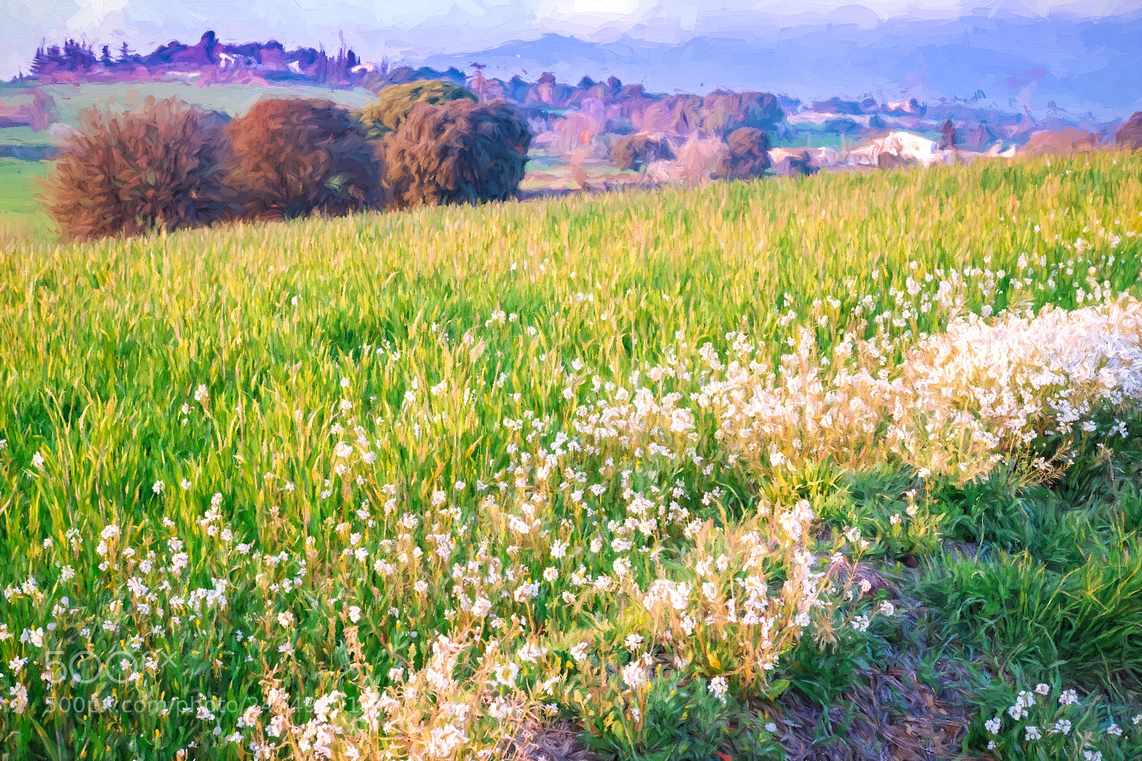 Fujifilm X-T10 sample photo. Le printemps est proche photography