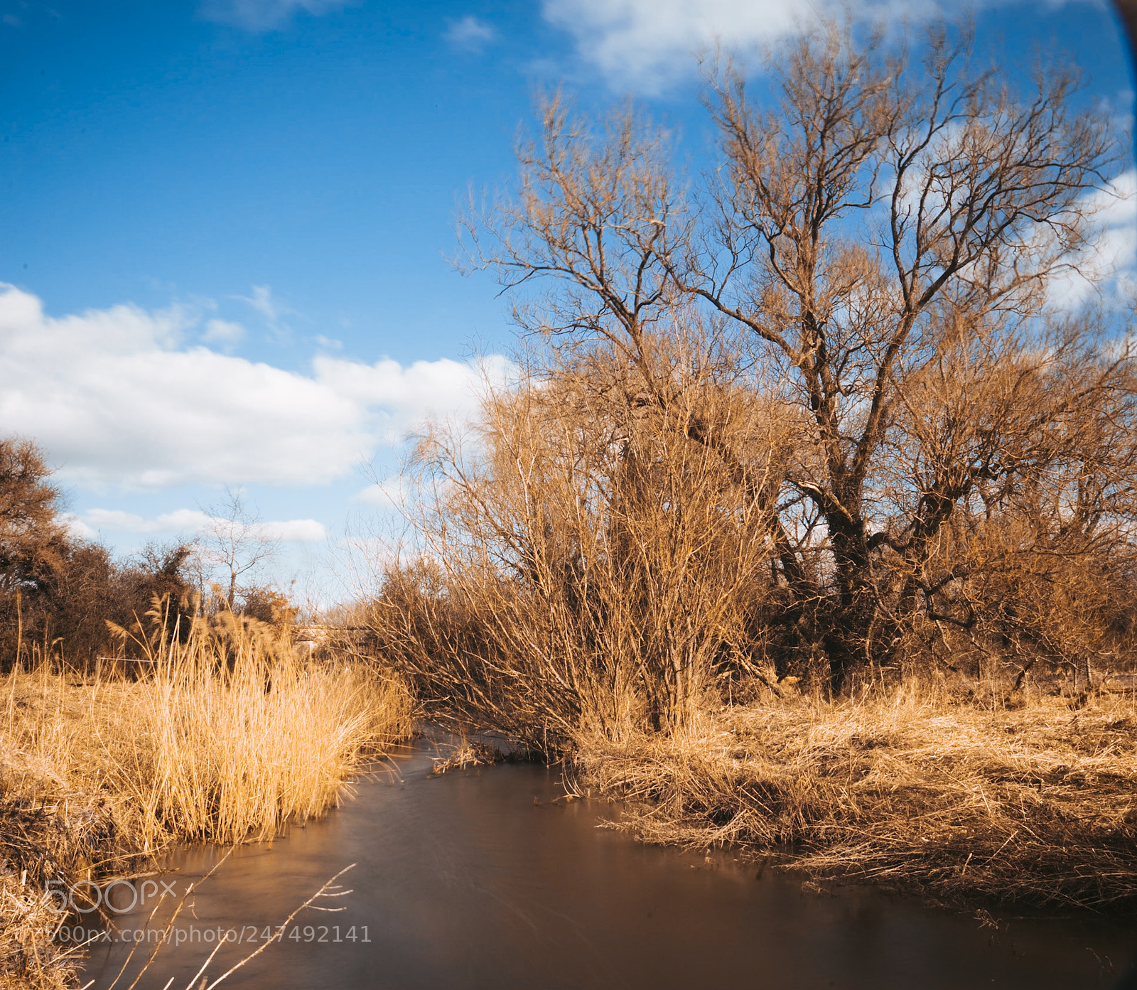 Sony a7R II sample photo. Untitled photography