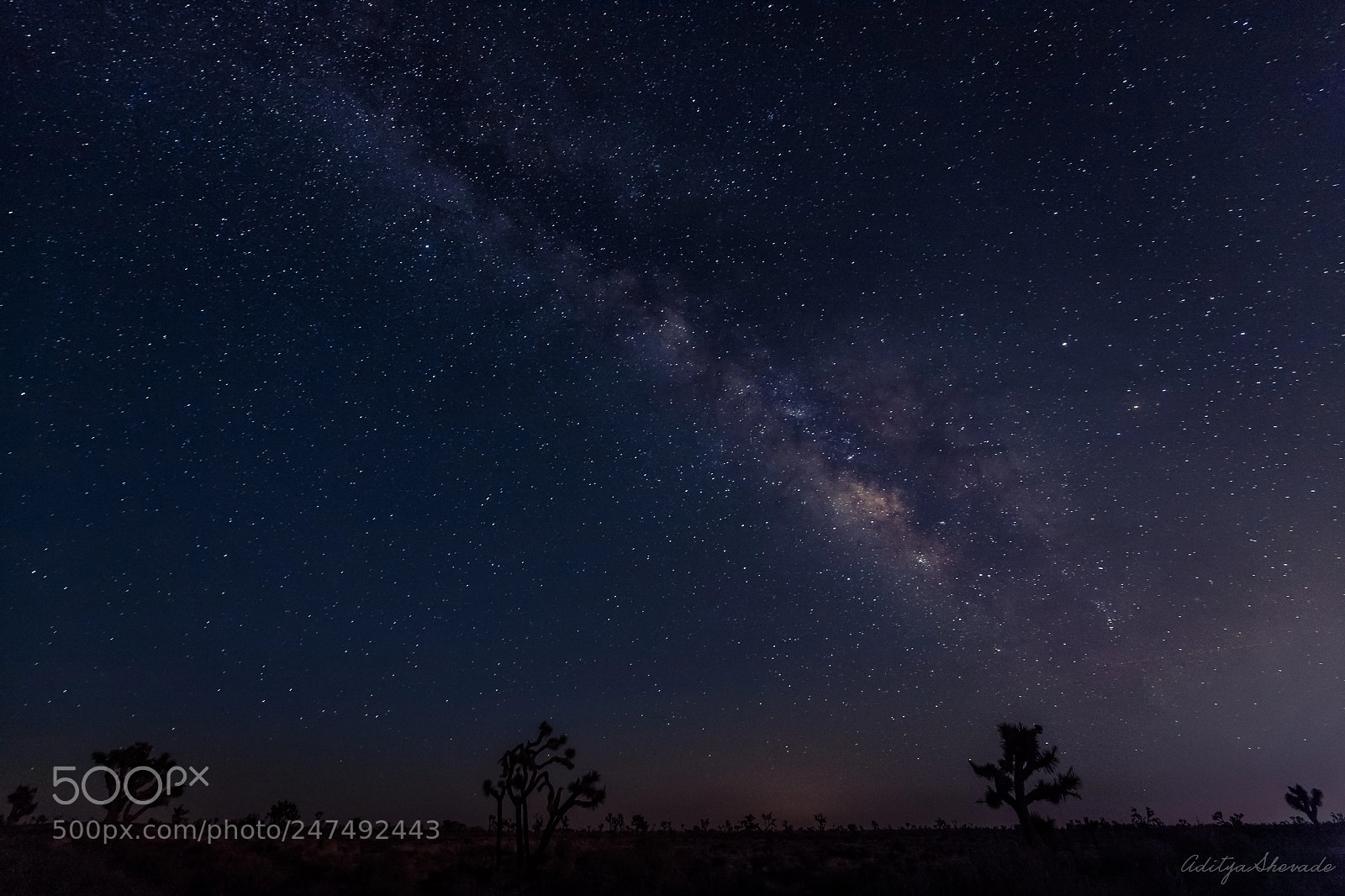 Canon EOS-1Ds Mark III sample photo. Stars photography