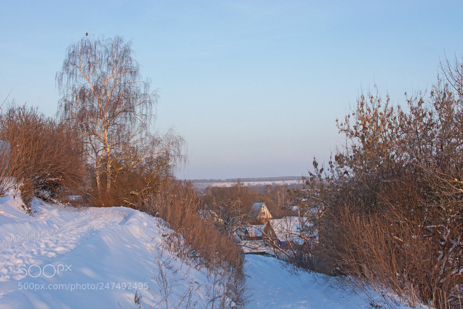 Nikon D7100 sample photo. Заката зимнего небрежна позолота... photography