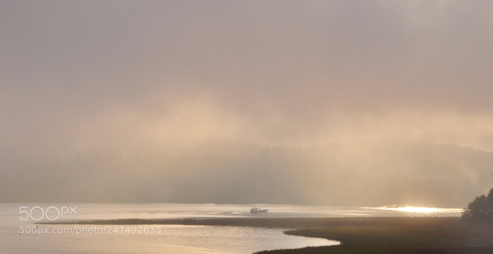 Nikon D90 sample photo. Morning mist photography