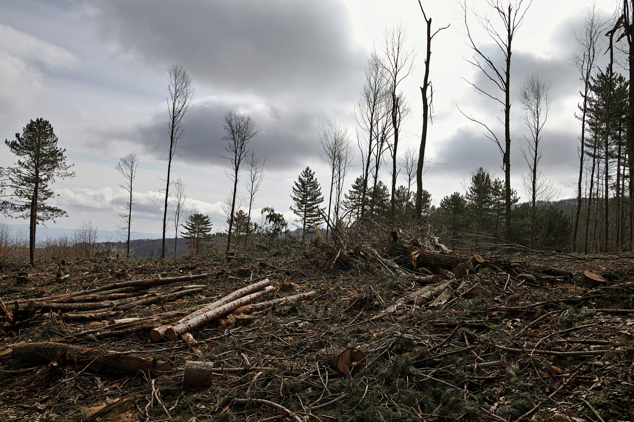 Sigma sd Quattro sample photo. Devastation photography
