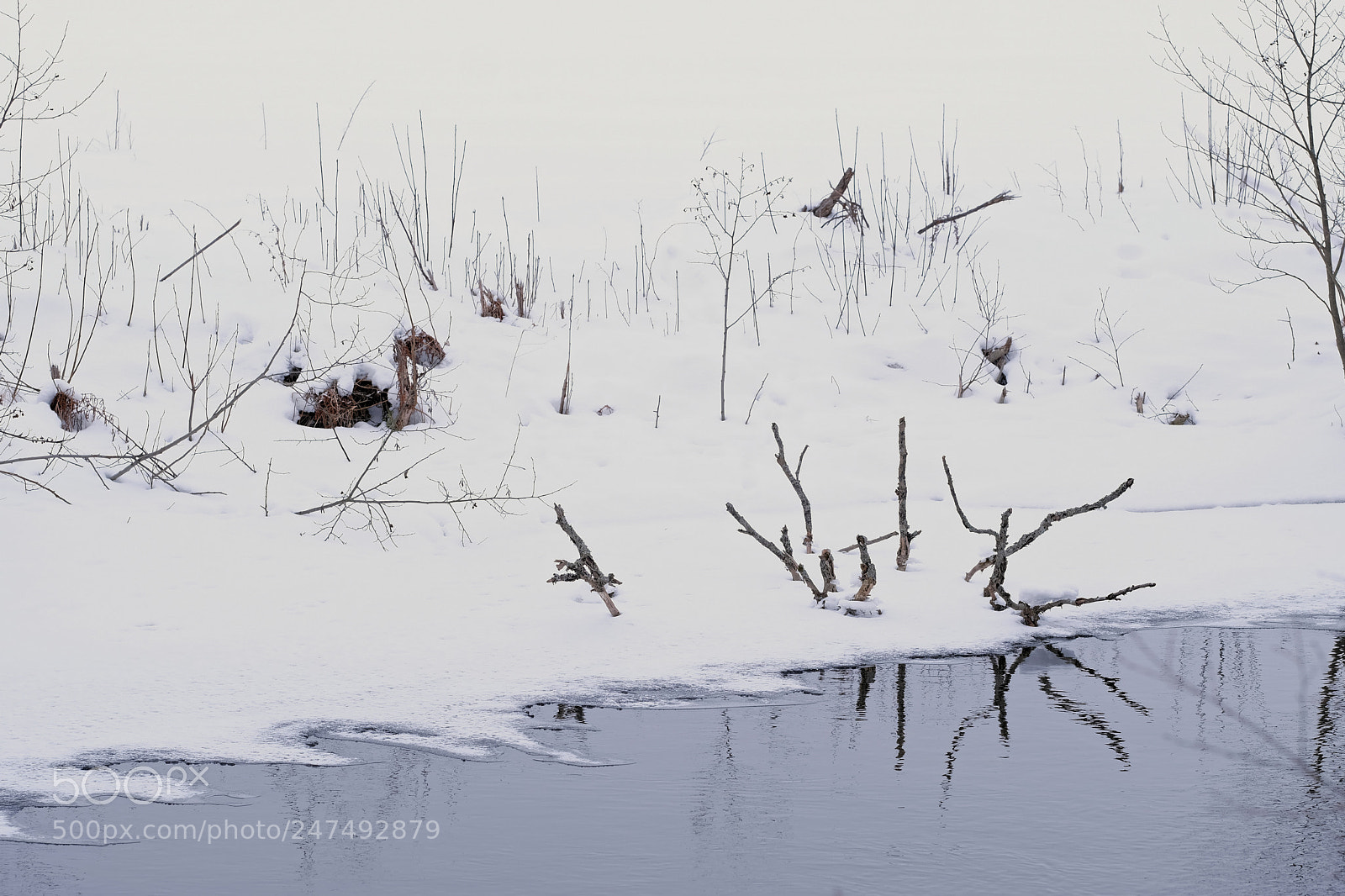 Fujifilm X-T2 sample photo. River photography
