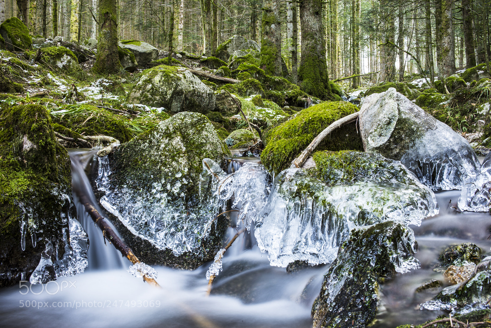 Nikon D610 sample photo. A creek 2 photography