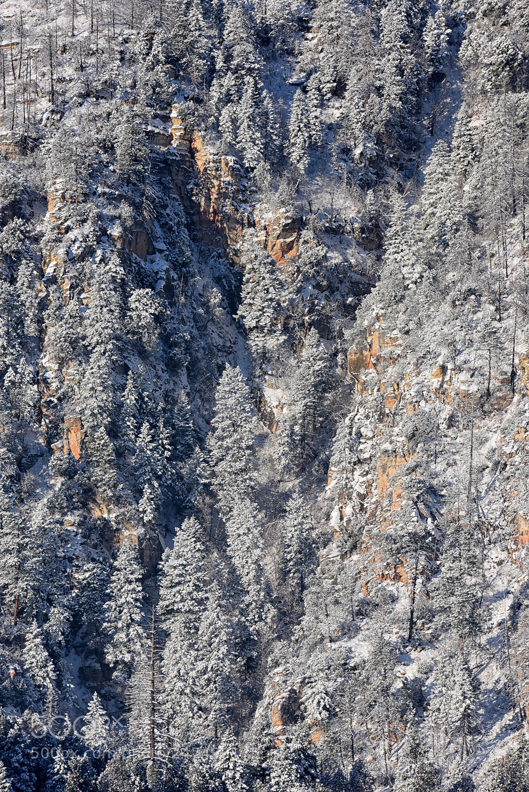 Nikon D810 sample photo. Sedona snow two photography