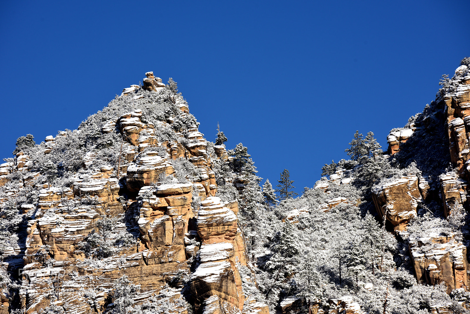 Nikon D810 sample photo. Sedona snow three photography
