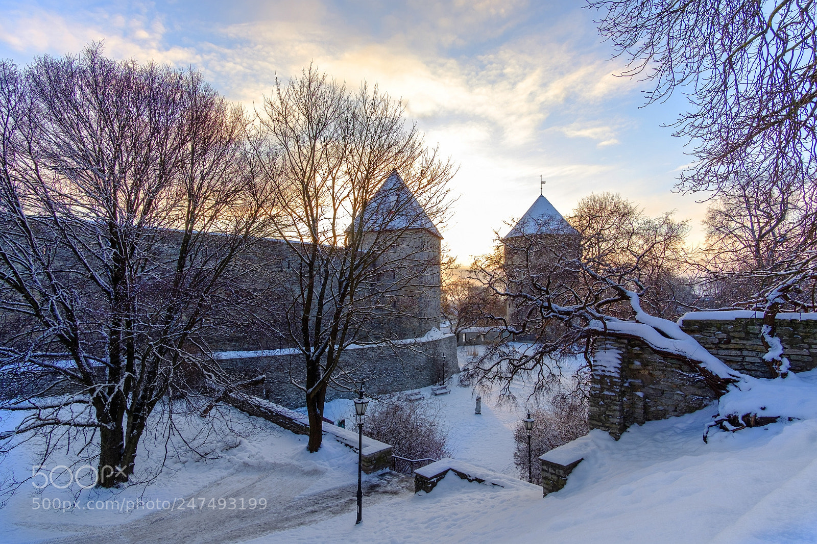 Fujifilm X-T20 sample photo. Winter morning photography