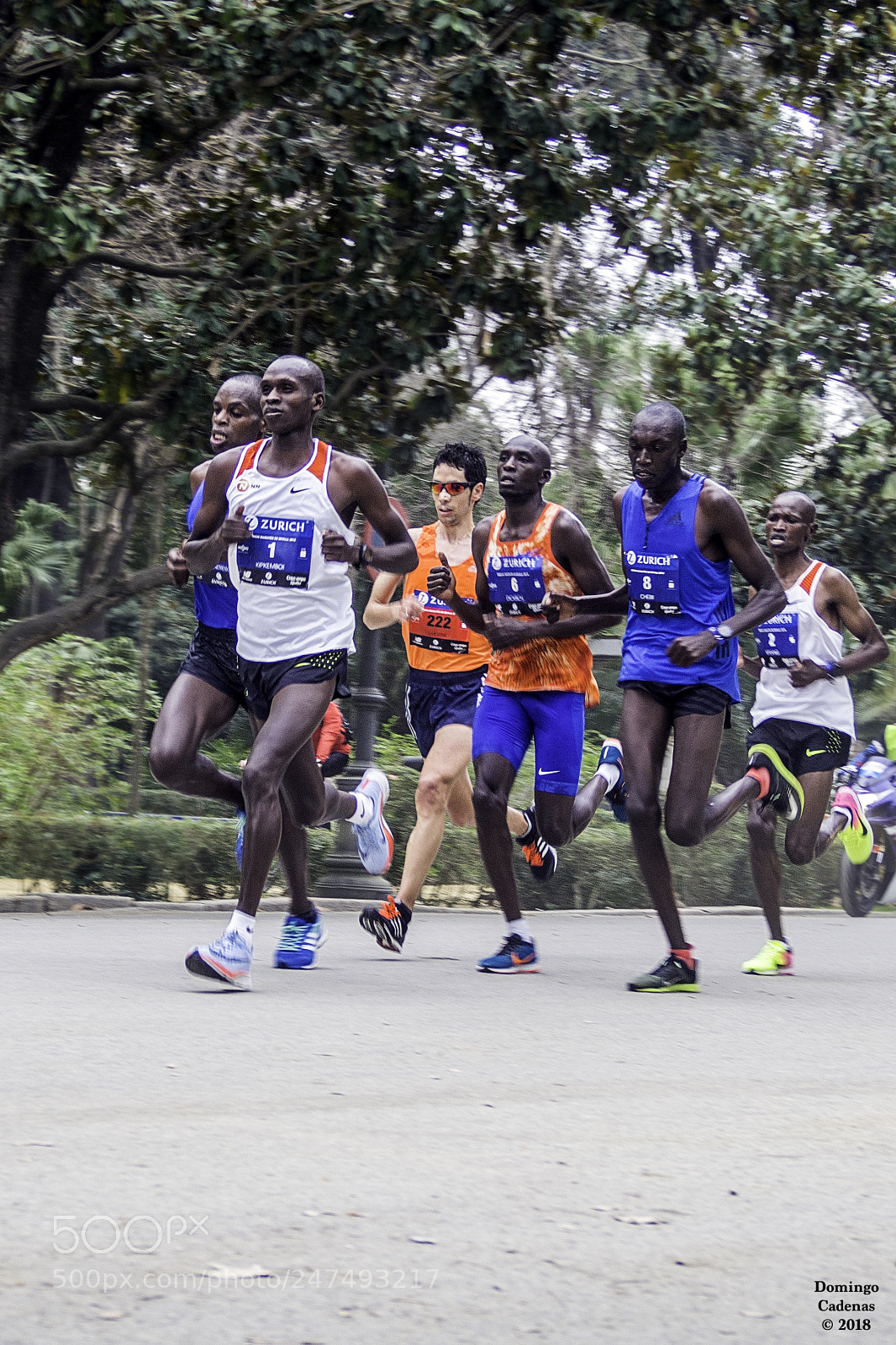Olympus OM-D E-M10 II sample photo. Maraton de sevilla 2018 photography