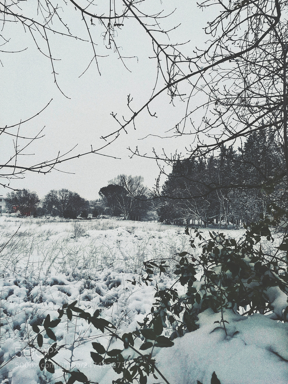 HUAWEI P10 lite sample photo. Snow photography