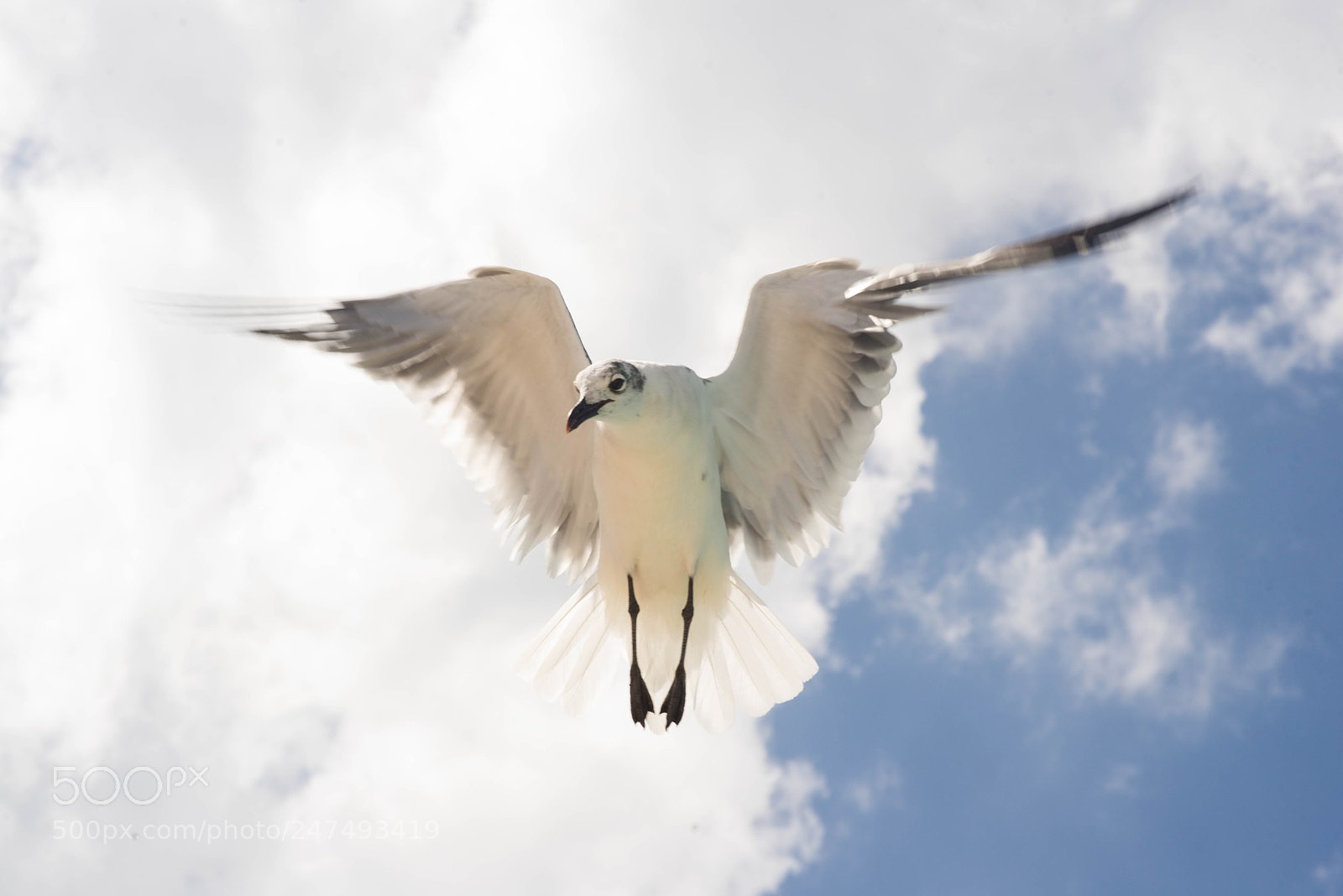 Nikon D610 sample photo. Heavenly ascent photography