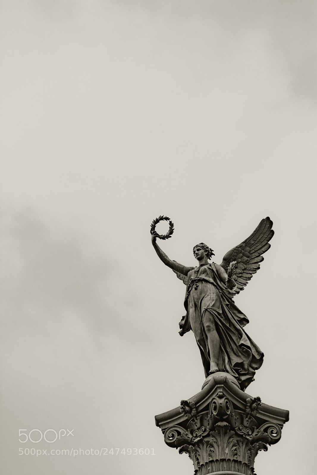Nikon D7100 sample photo. Weeping angel photography
