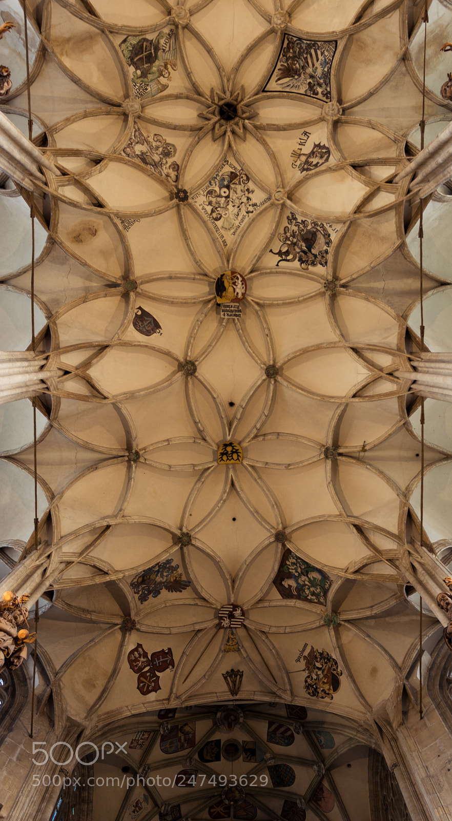 Nikon D7100 sample photo. Intricate curves photography