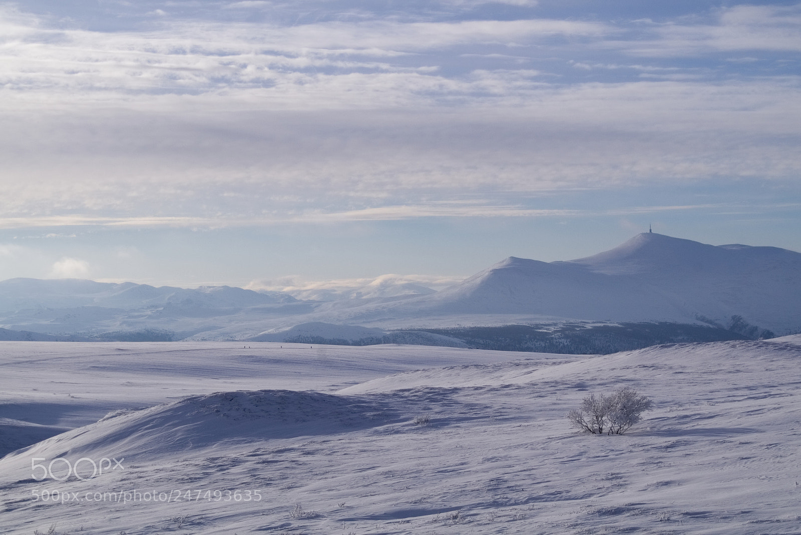 Sony SLT-A58 sample photo. Høvringen norway photography