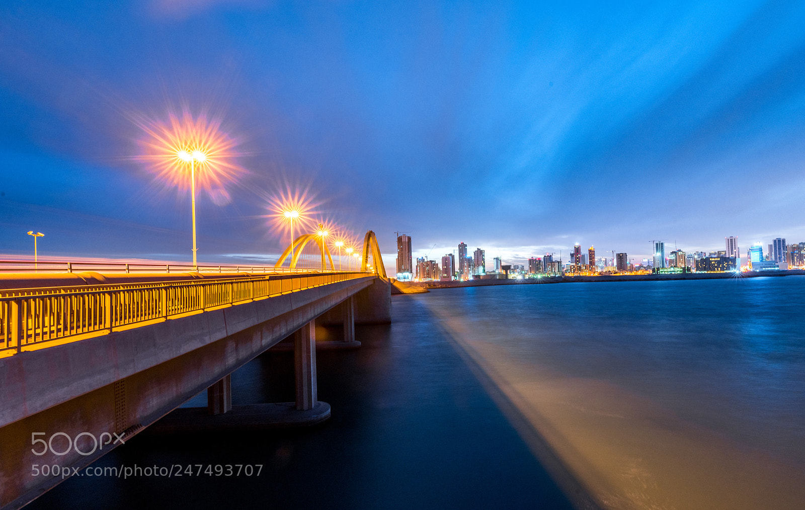 Nikon D810 sample photo. Bridge photography