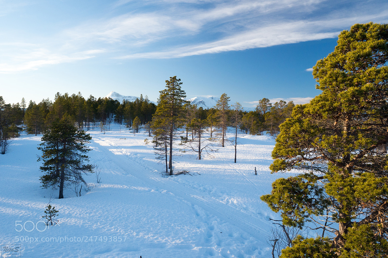 Olympus OM-D E-M1 Mark II sample photo. Idyllic landscape photography