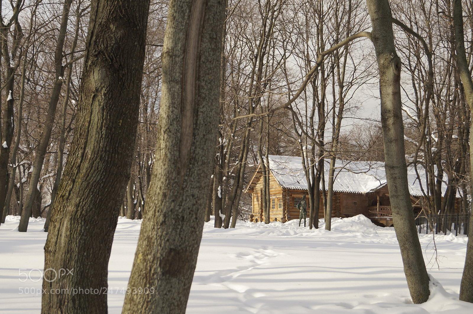 Sony SLT-A57 sample photo. Untitled photography