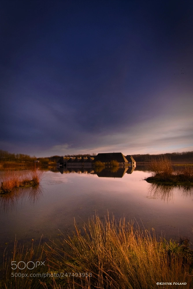 Nikon D7200 sample photo. Brockholes, preston photography