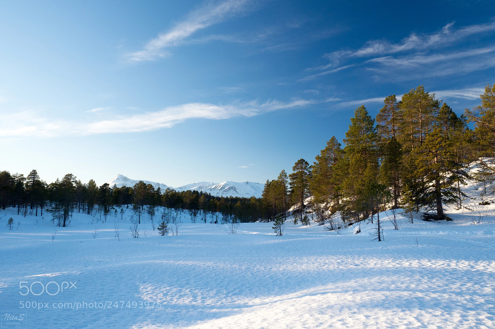 Olympus OM-D E-M1 Mark II sample photo. Idyllic landscape photography
