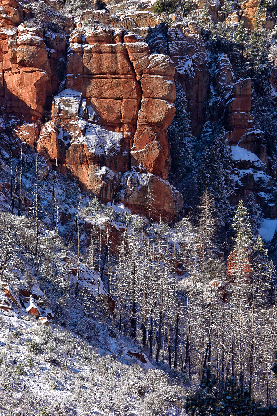 Nikon D810 sample photo. Red rock & white one photography