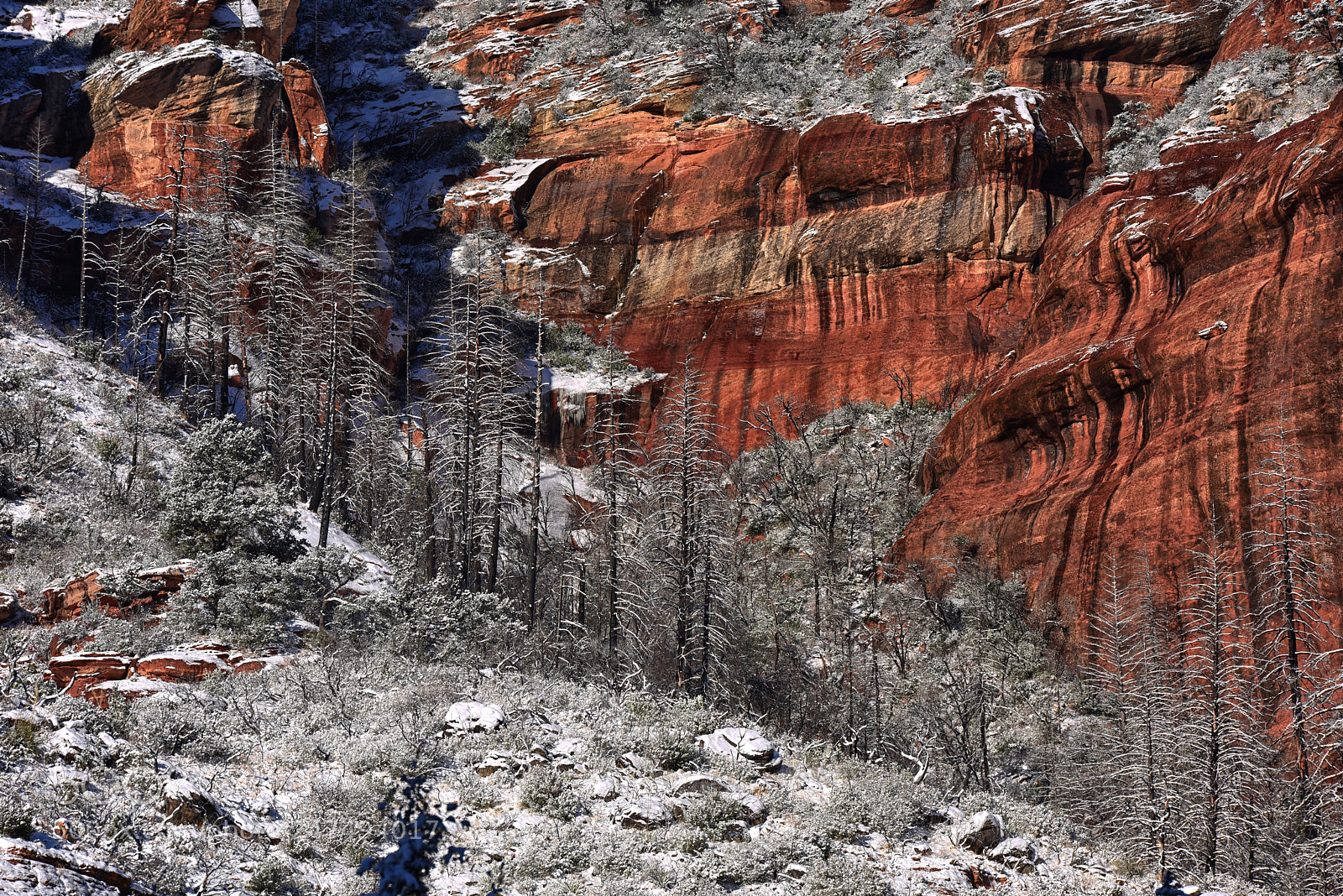 Nikon D810 sample photo. Red rock & white three photography