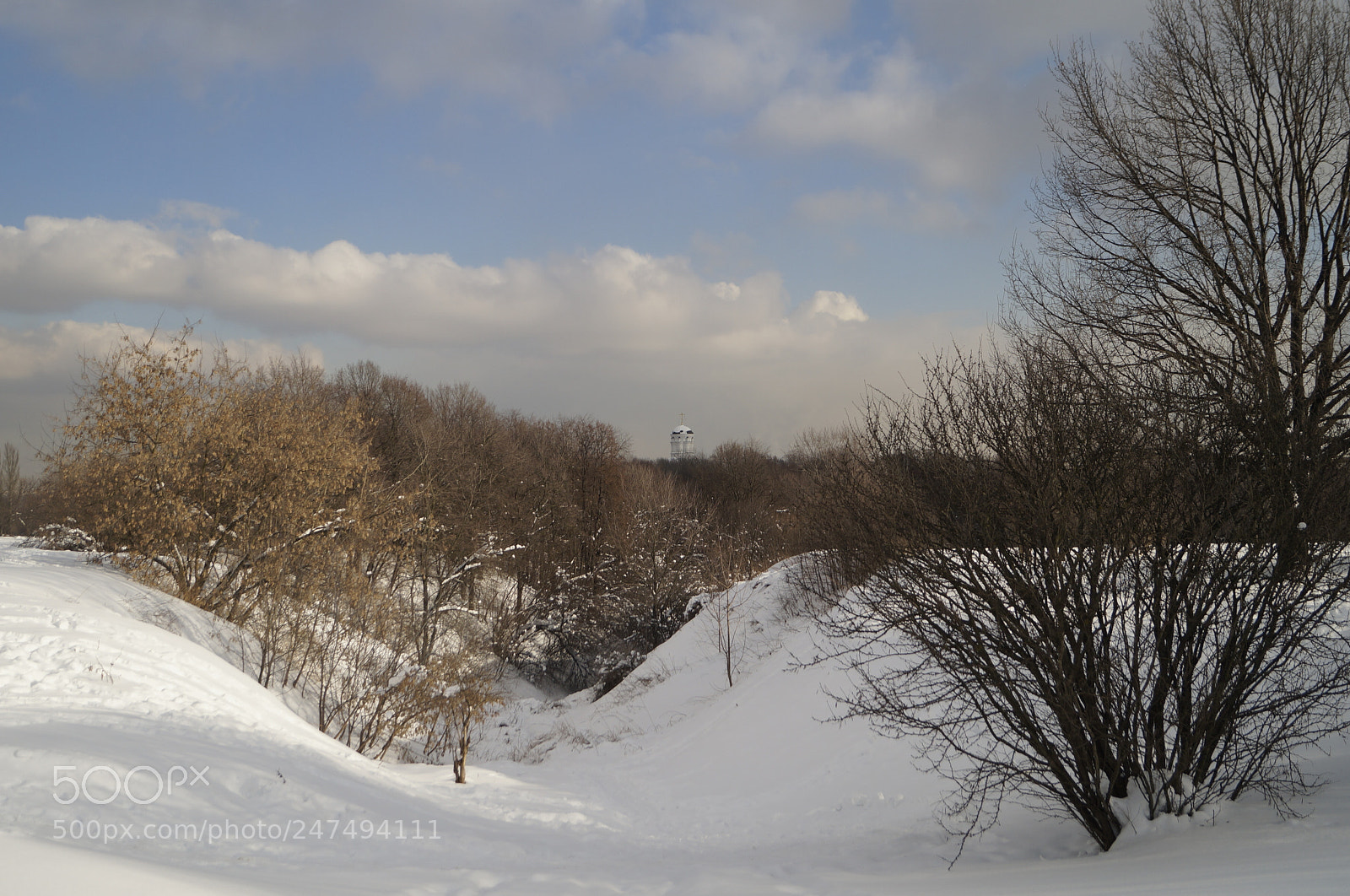 Sony SLT-A57 sample photo. Untitled photography