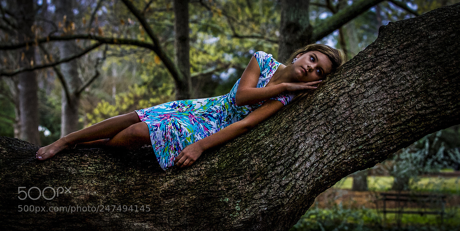 Canon EOS-1D Mark II sample photo. Tree sleep photography