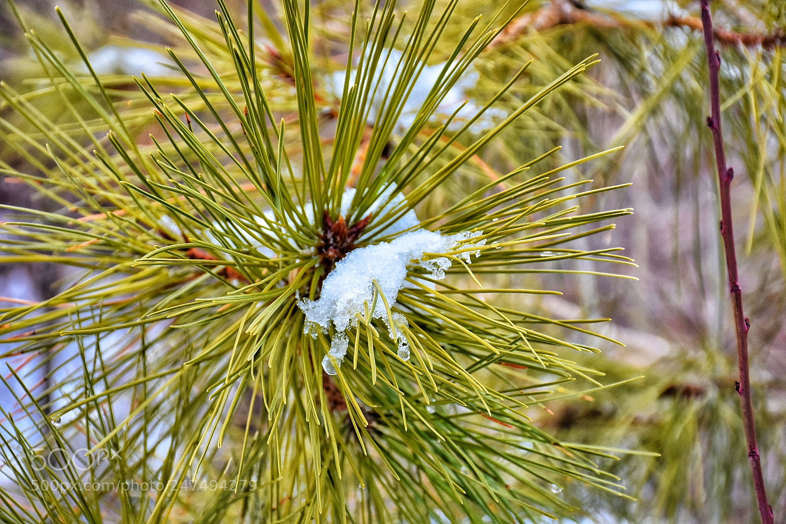 Nikon D7200 sample photo. Untitled photography