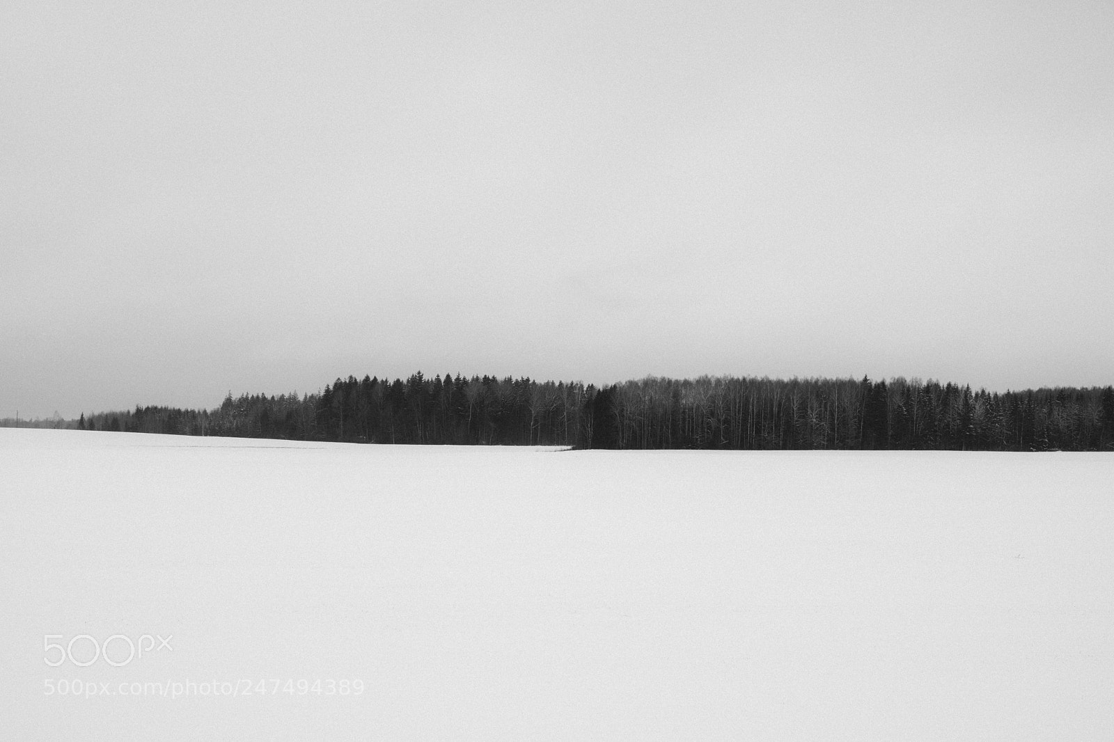 Fujifilm X-T20 sample photo. Fields in winter photography